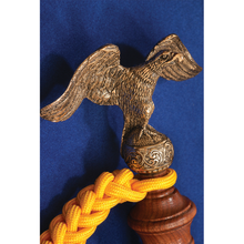 Load image into Gallery viewer, Baton Presentation Case (case only)