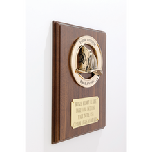 Load image into Gallery viewer, Helmet Plaque
